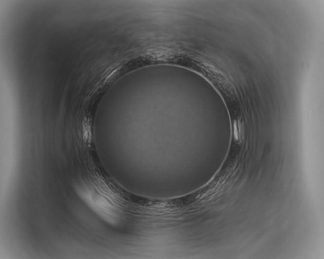 X0000113341155200909221117