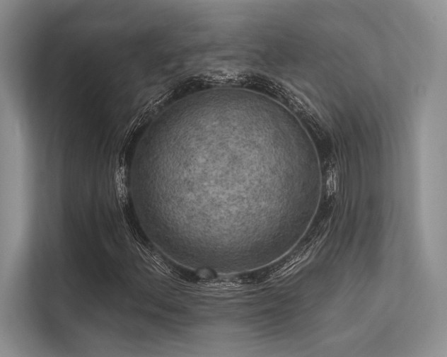 X0000113341156200909221117