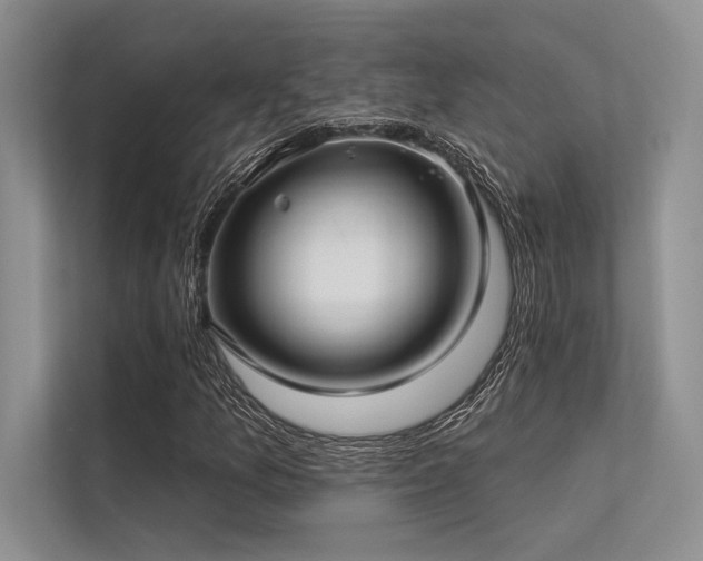 X0000113341157200909221117