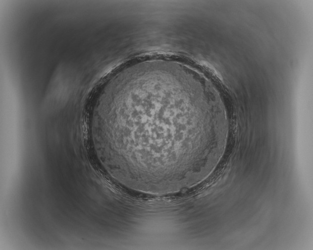 X0000113341159200909221117