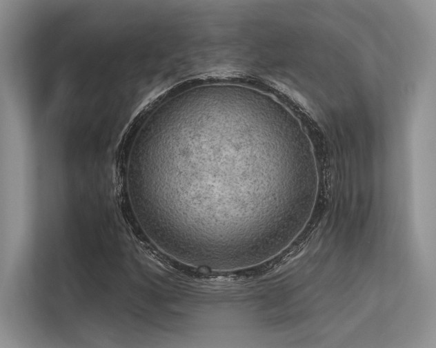 X0000113341160200909221117