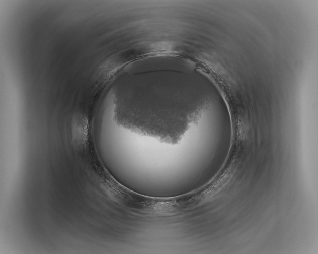 X0000113341161200909221117