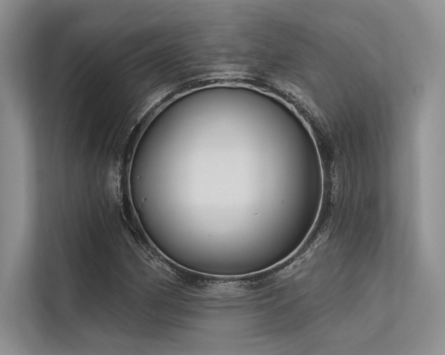 X0000113341162200909221117