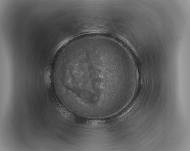 X0000113341163200909221117