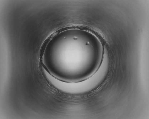 X0000113341165200909221117