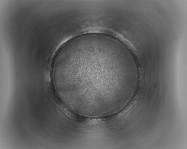 X0000113341166200909221117