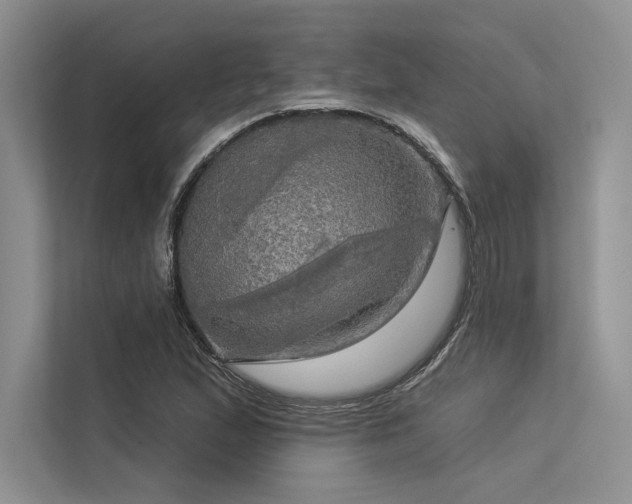 X0000113341167200909221117