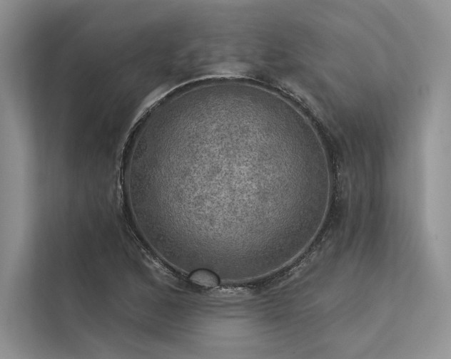 X0000113341168200909221117