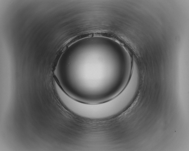 X0000113341169200909221117