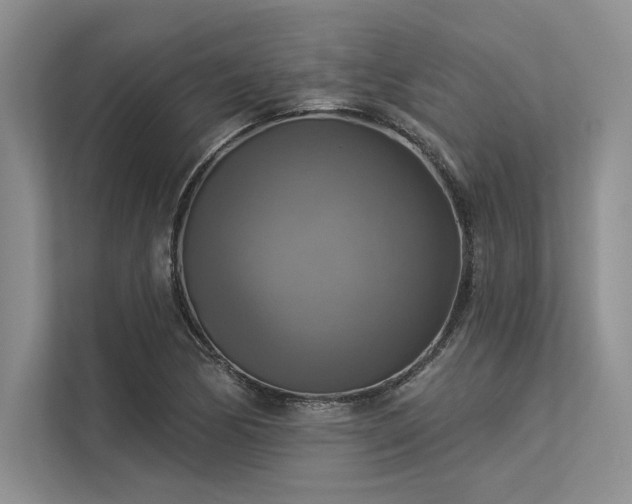 X0000113341170200909221117