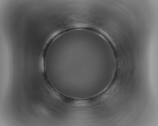 X0000113341171200909221117