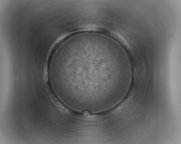 X0000113341172200909221117