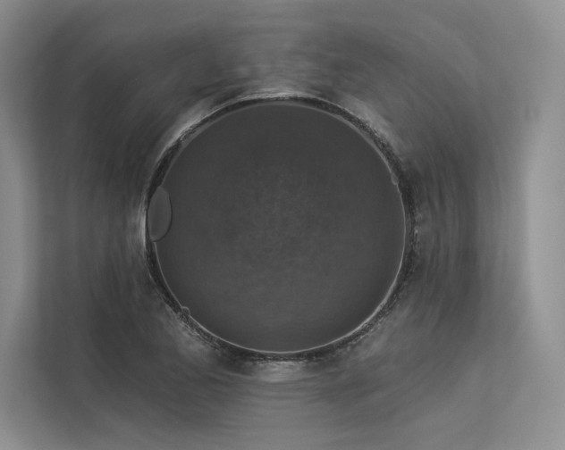 X0000113341173200909221117