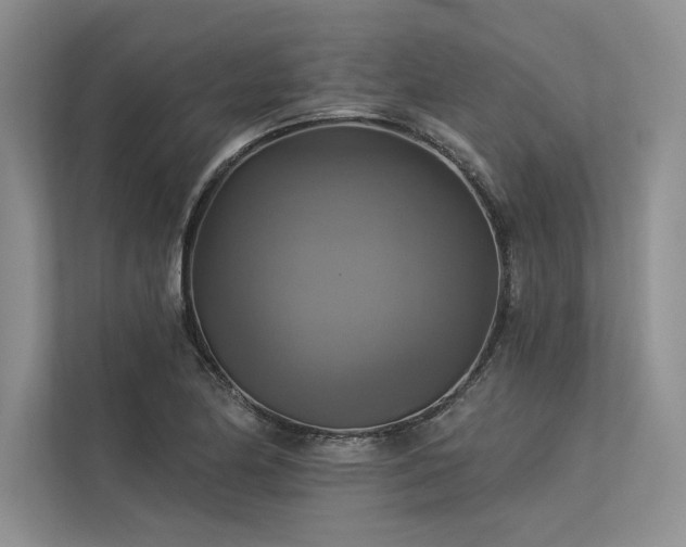 X0000113341174200909221117