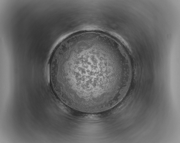 X0000113341175200909221117