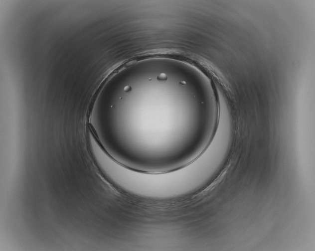 X0000113341177200909221117