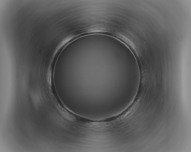 X0000113341179200909221117