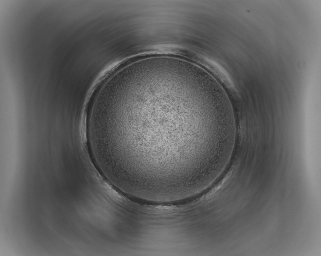 X0000113341180200909221117