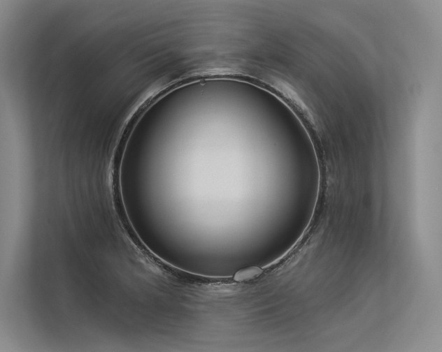 X0000113341181200909221117