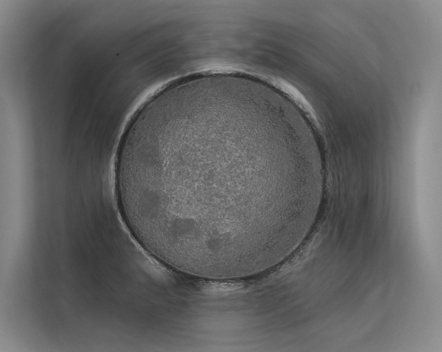 X0000113341183200909221117