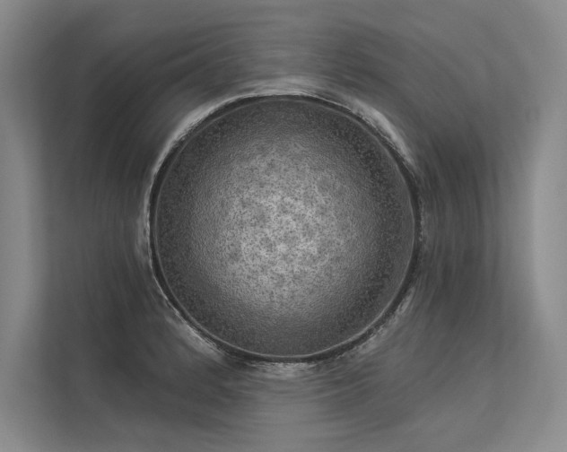 X0000113341184200909221117