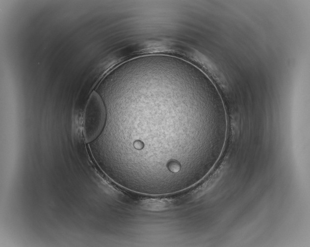 X0000113341185200909221117