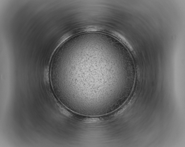 X0000113341186200909221117