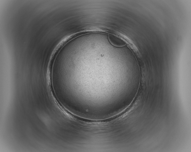 X0000113341188200909221117