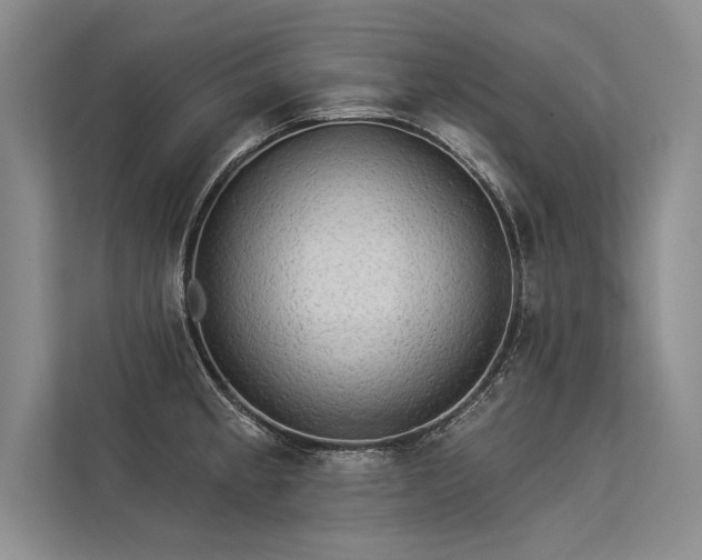 X0000113341189200909221117