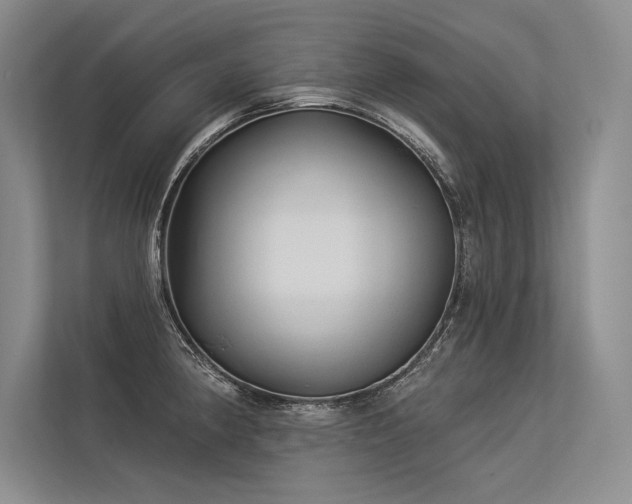 X0000113341190200909221117