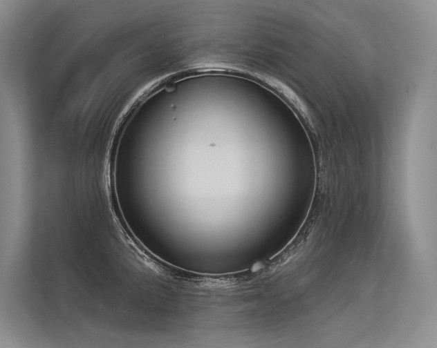 X0000113341191200909221117