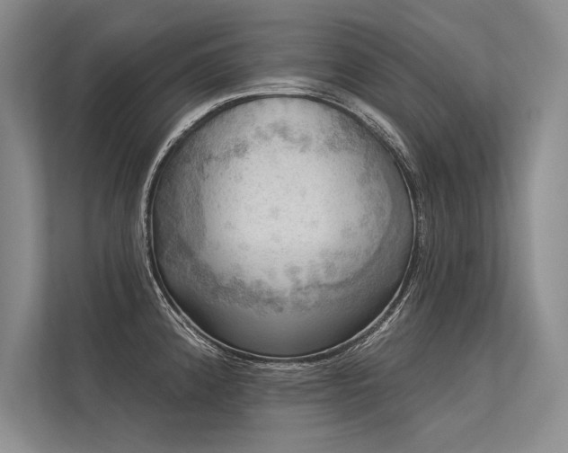 X0000113341192200909221117