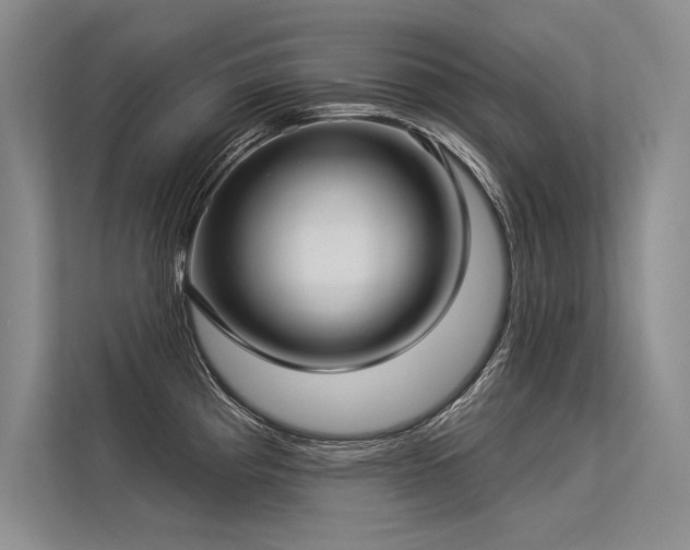 X0000113341193200909221117