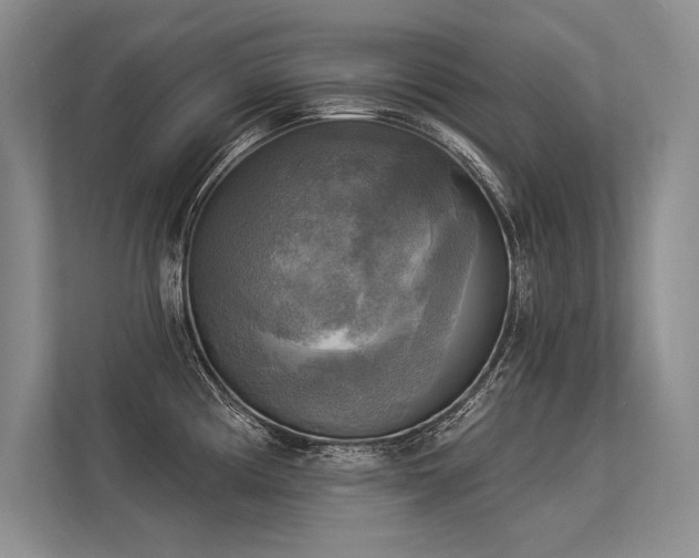 X0000113341194200909221117