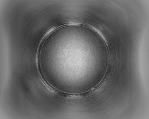 X0000113341195200909221117