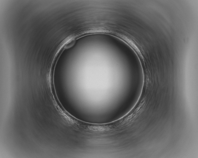 X0000113341197200909221117