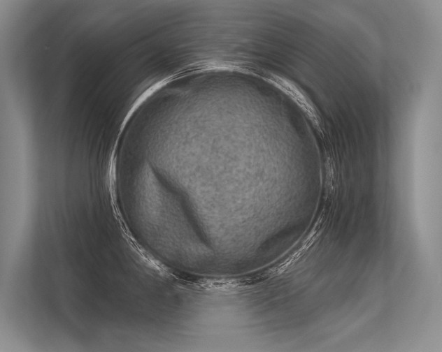 X0000113341198200909221117