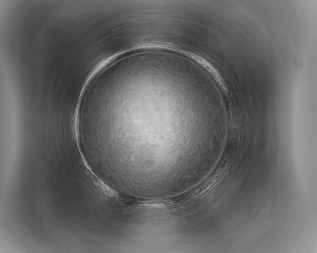 X0000113341199200909221117