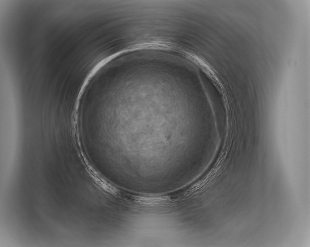 X0000113341200200909221117