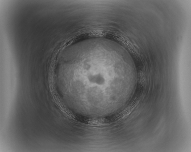 X0000113341201200909221116