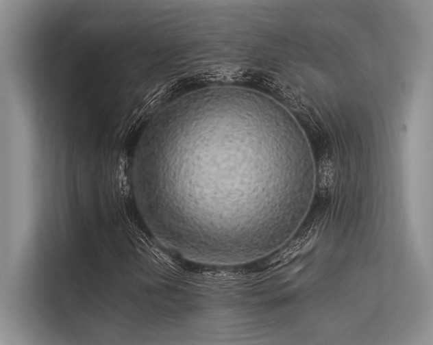 X0000113341202200909221116