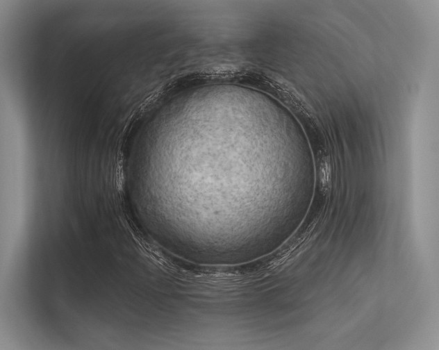 X0000113341204200909221116