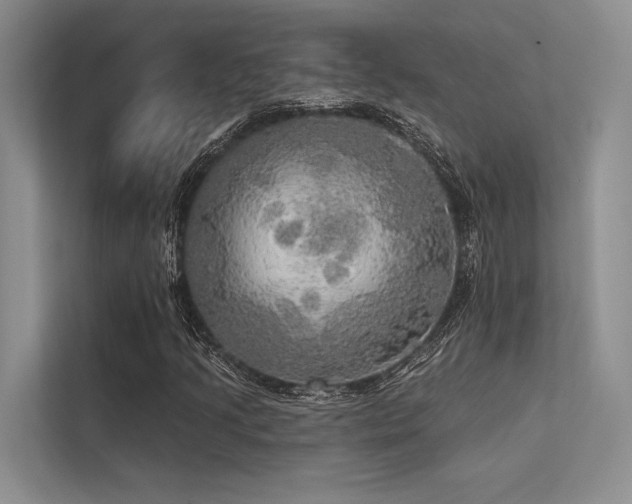 X0000113341205200909221116