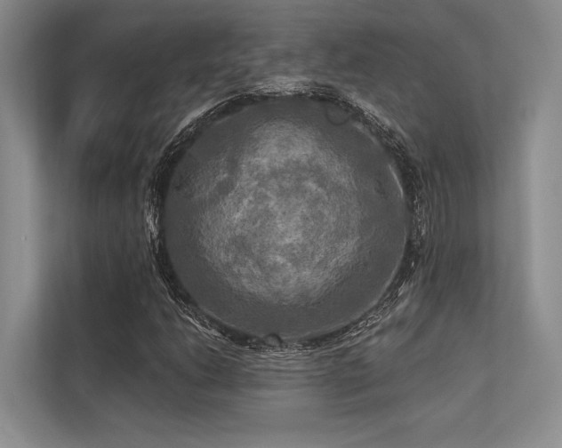 X0000113341206200909221116