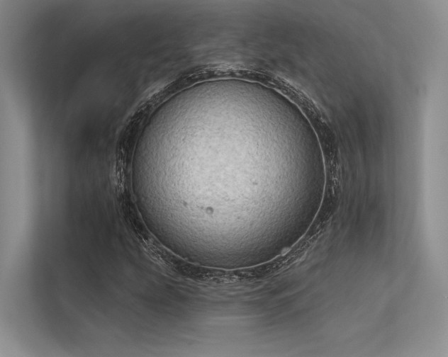 X0000113341207200909221116