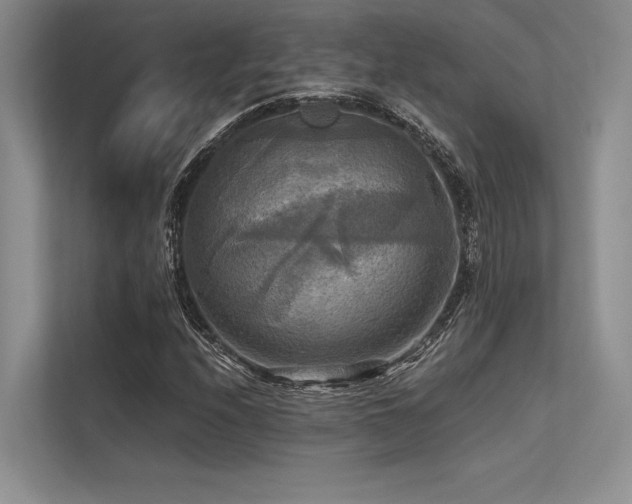 X0000113341208200909221116