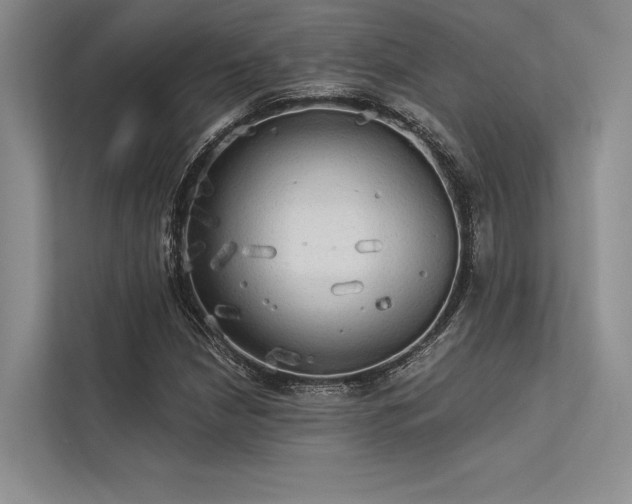 X0000113341210200909221116