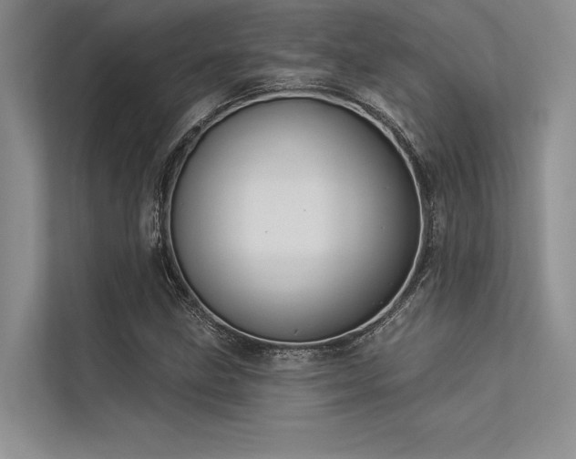 X0000113341211200909221116