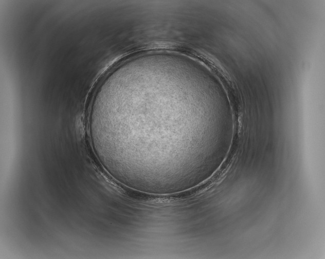 X0000113341212200909221116