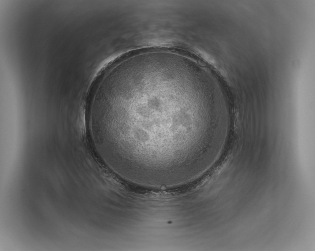 X0000113341214200909221116